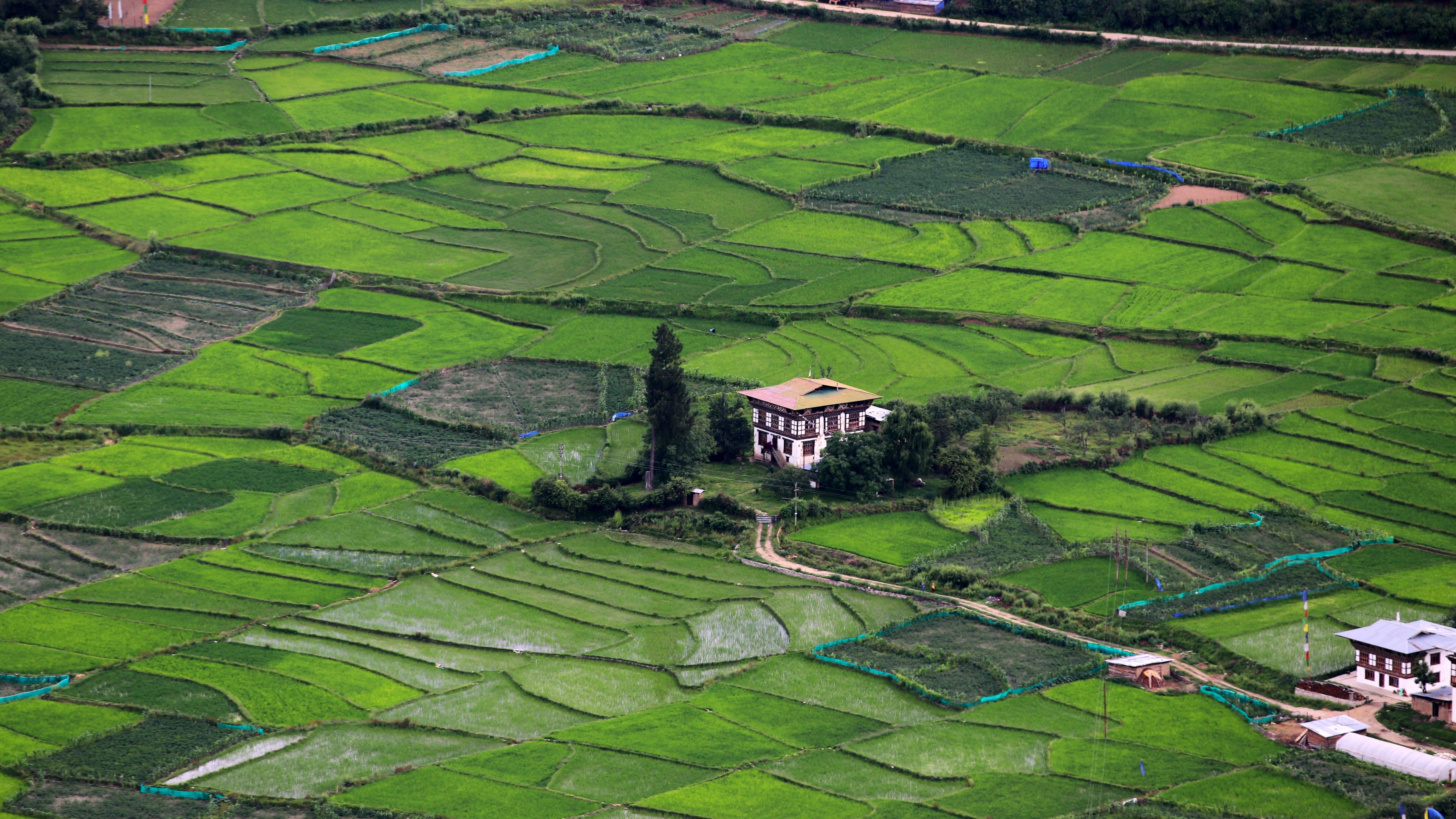 Traditional Bhutanese farming